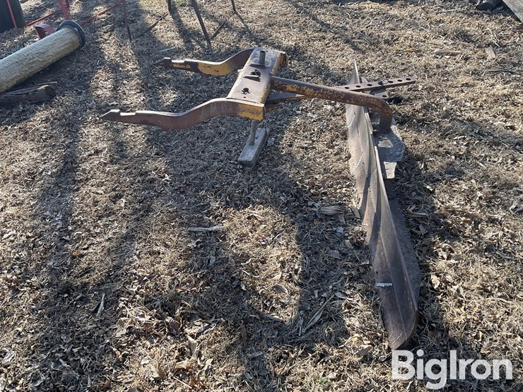 international-8-image-8