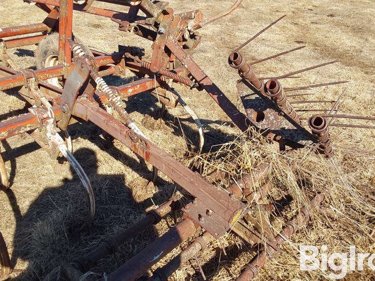 international-45-image-18