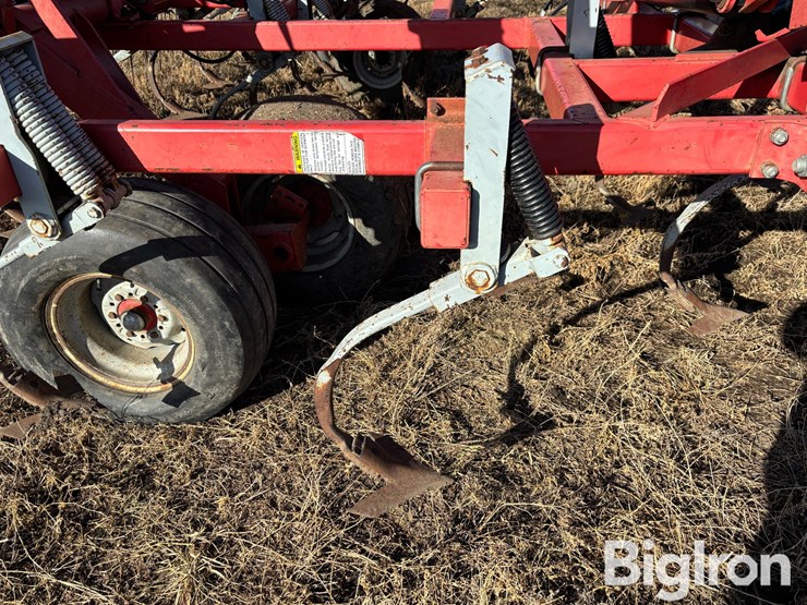 wil-rich-quad-5-image-9