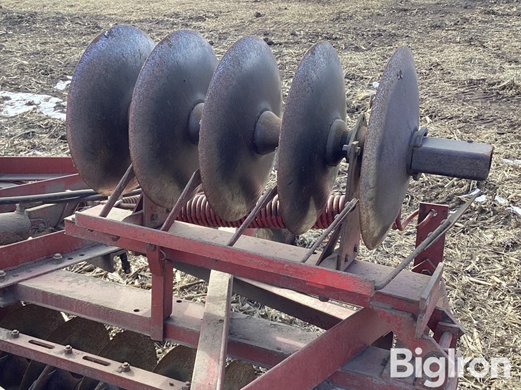 international-470-image-17