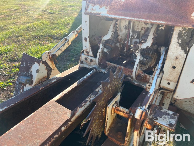 international-47-image-17