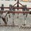 #35036-•-~16'-chisel-plow-inv#-35036-image-8