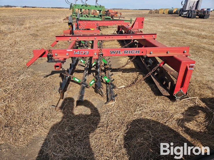 wil-rich-1403-image-4