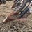 bourgault-5350-image-67