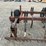 #35036-•-~16'-chisel-plow-inv#-35036-image-10
