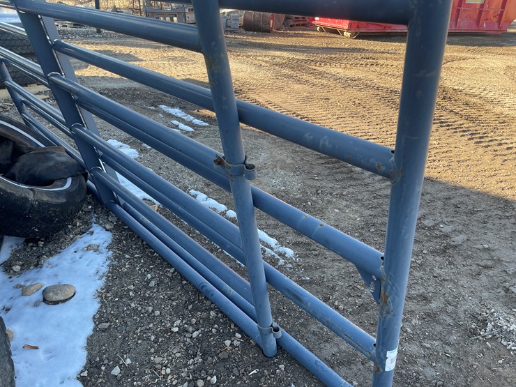 #6005-•-(2)-tart-cattle-gate-image-3