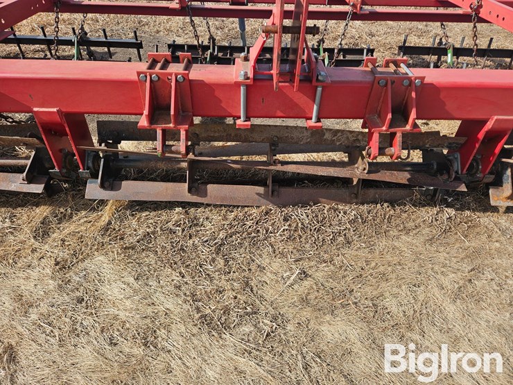 wil-rich-1403-image-11