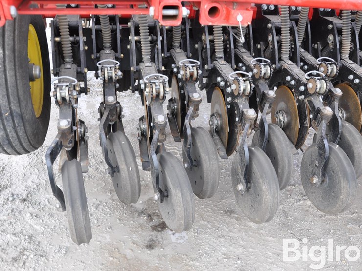 2021-sunflower-9435-image-17