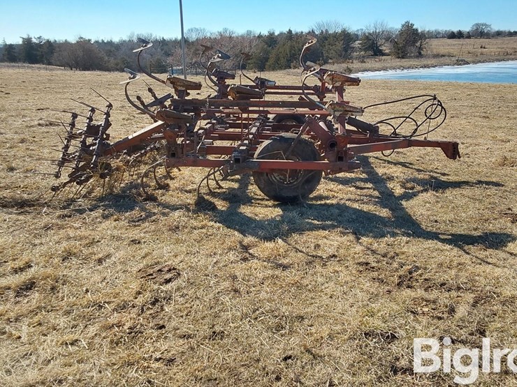 international-45-image-4