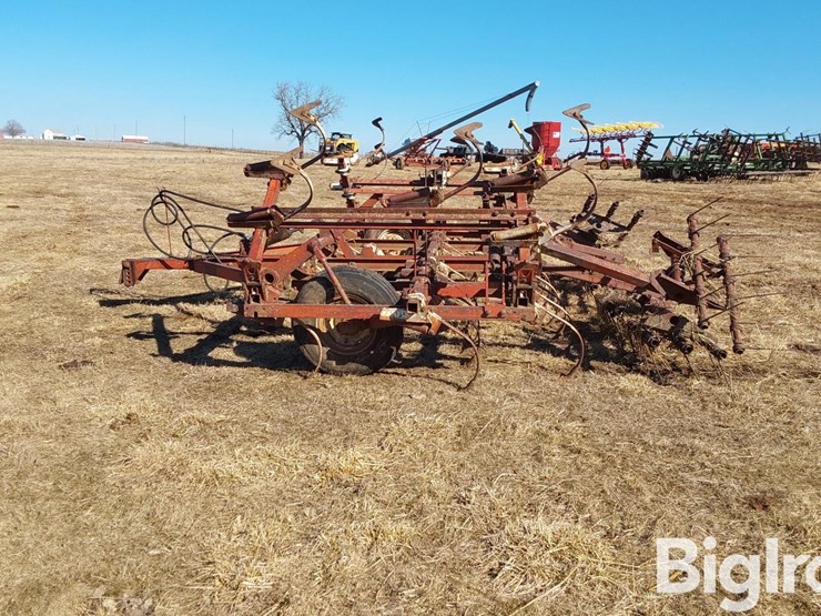 international-45-image-8