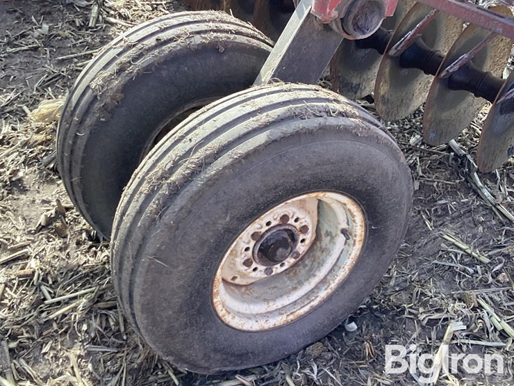 international-470-image-14