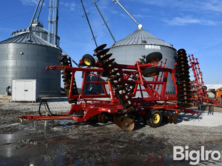 sunflower-1434-33-image-1