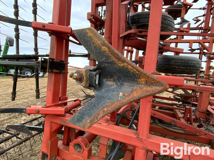 sunflower-5652-image-10