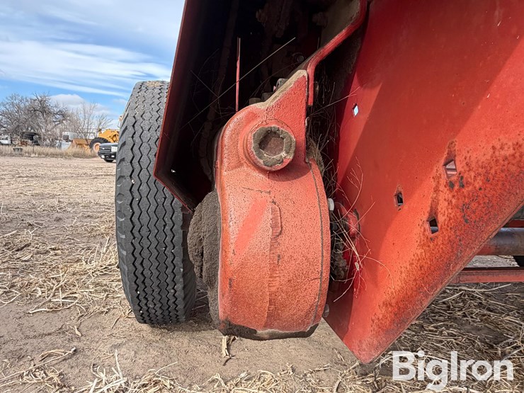 international-540-image-17