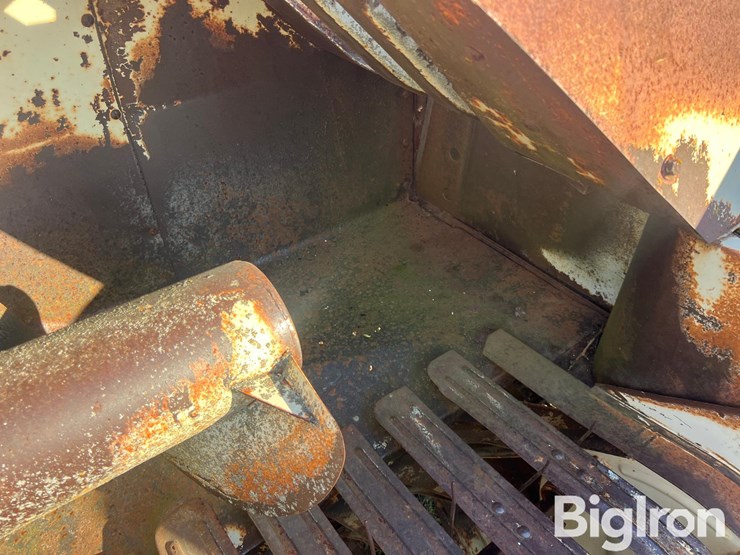 international-47-image-10