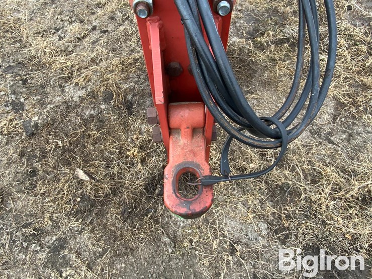 sunflower-5652-image-19