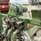 john-deere-335-image-12