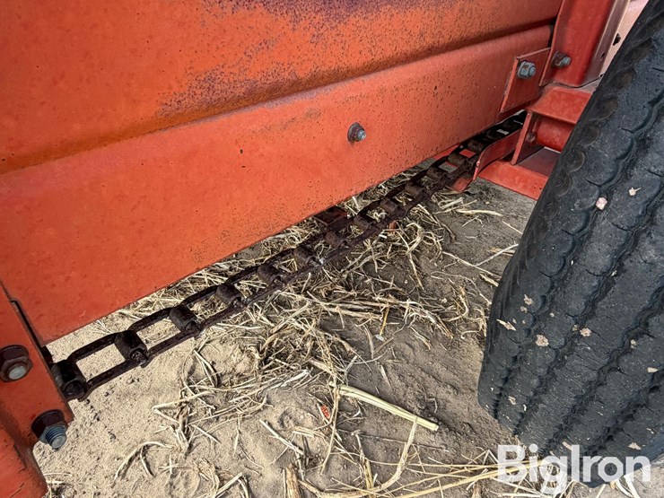 international-540-image-20