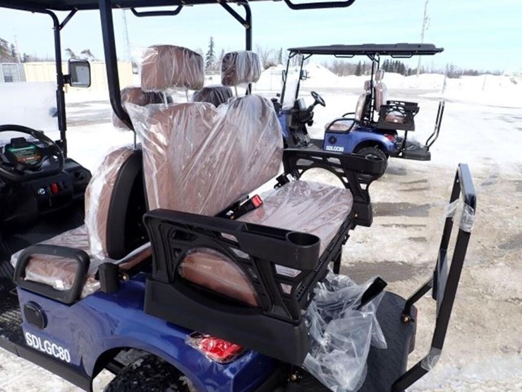 unused-2025-sdlanch-sdlgc80-golf-cart-rsl802510068-image-22