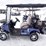 unused-2025-sdlanch-sdlgc80-golf-cart-rsl802510090-image-8