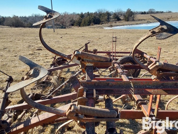 international-45-image-15