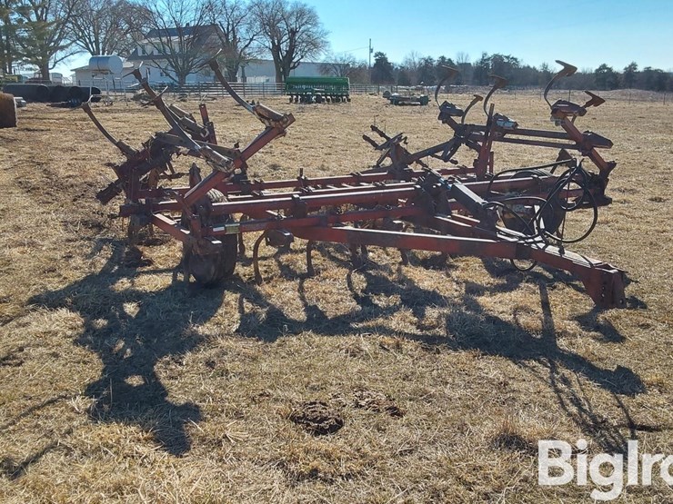 international-45-image-3