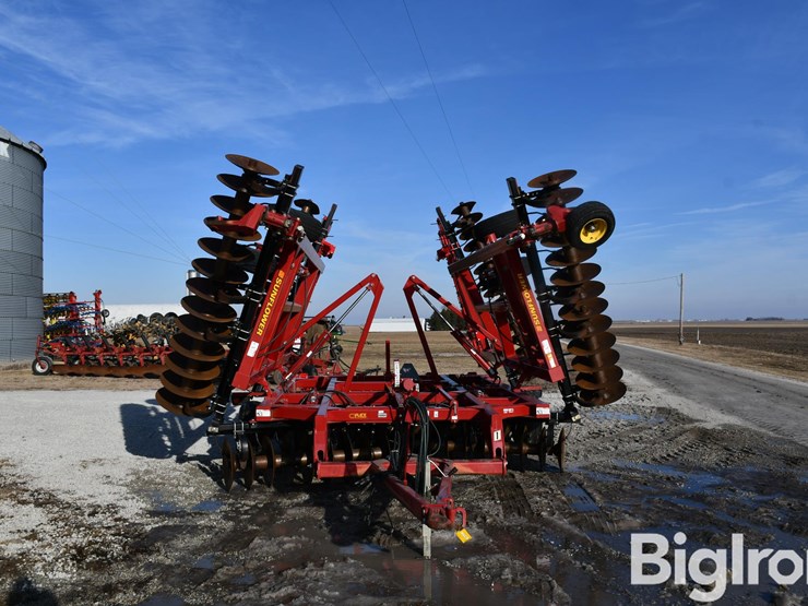 sunflower-1434-33-image-2