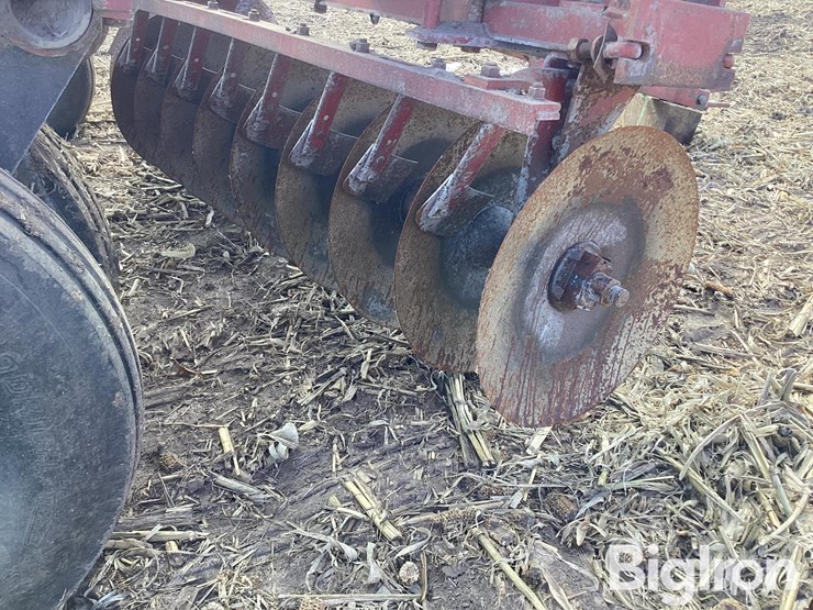 international-470-image-18