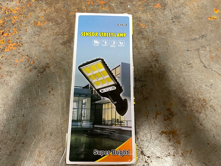 #2316-•-sensor-street-lamp-(cw)-image-1