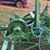 john-deere-van-brunt-cca-field-cultivator-image-16