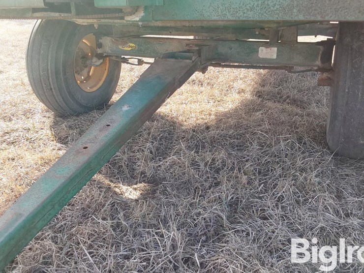 badger-1416-image-16