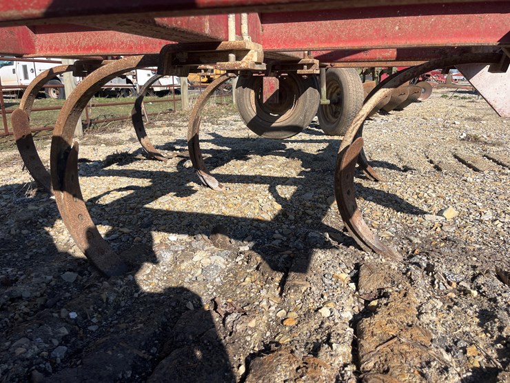 international-55-image-4