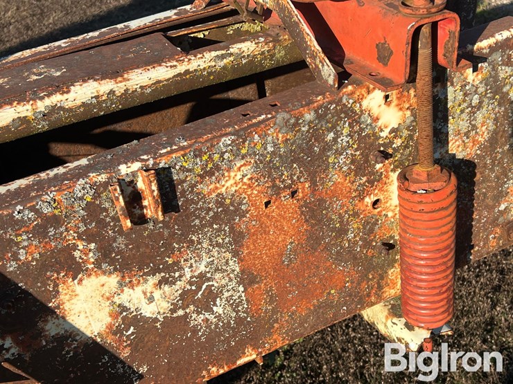 international-47-image-20