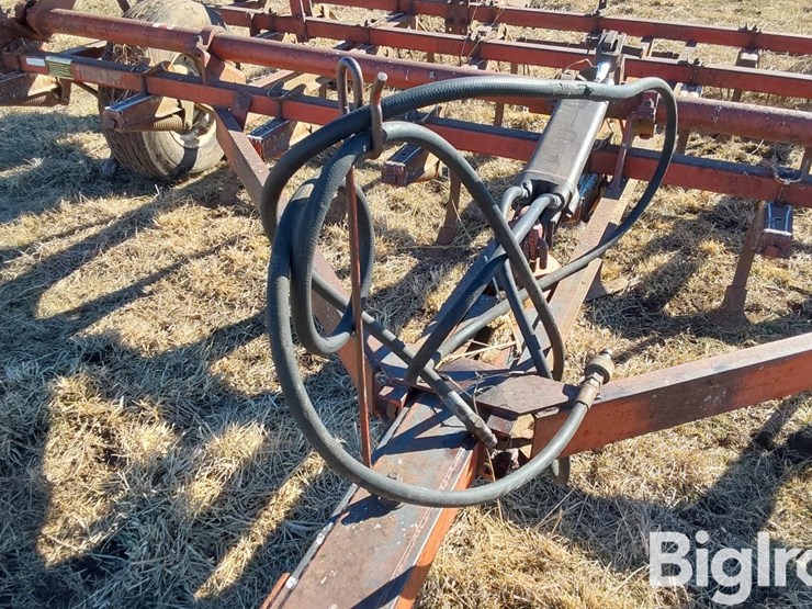 international-45-image-10