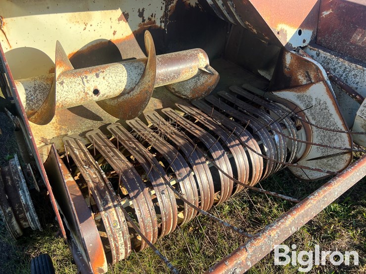 international-47-image-9