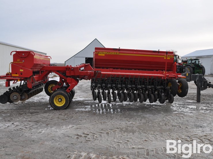 2021-sunflower-9435-image-4