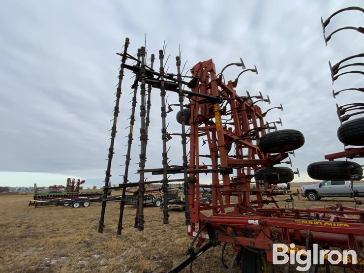 sunflower-5652-image-16