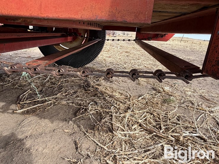 international-540-image-14