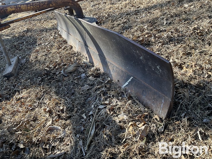 international-8-image-9