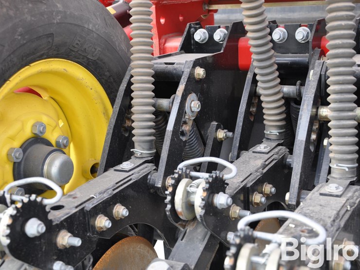 2021-sunflower-9435-image-19