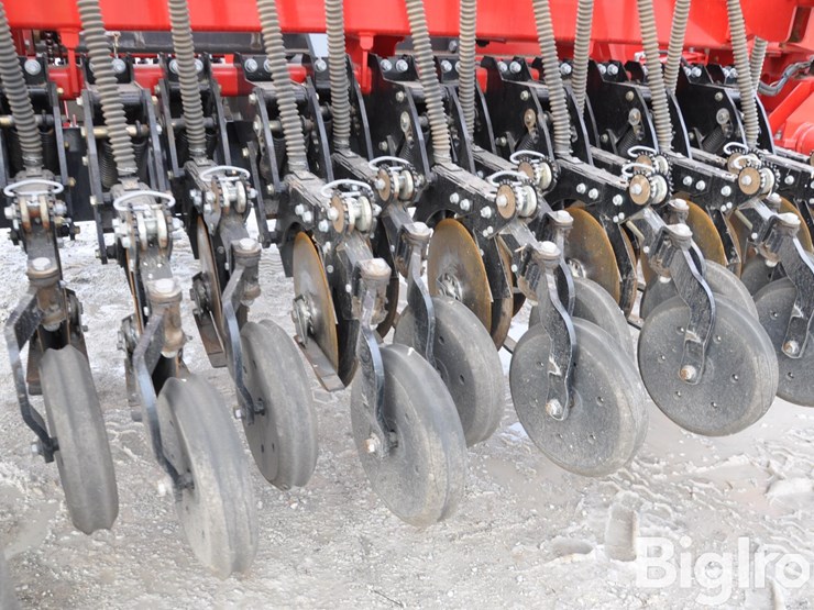 2021-sunflower-9435-image-18