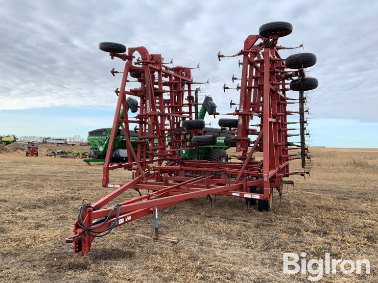 sunflower-5652-image-1