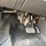 #35101-•-2016-ford-focus-hatch-back-1fadp3k28gl230543-inv#-35101-image-24