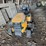 cub-cadet-lt50-xt1-riding-mower-image-2