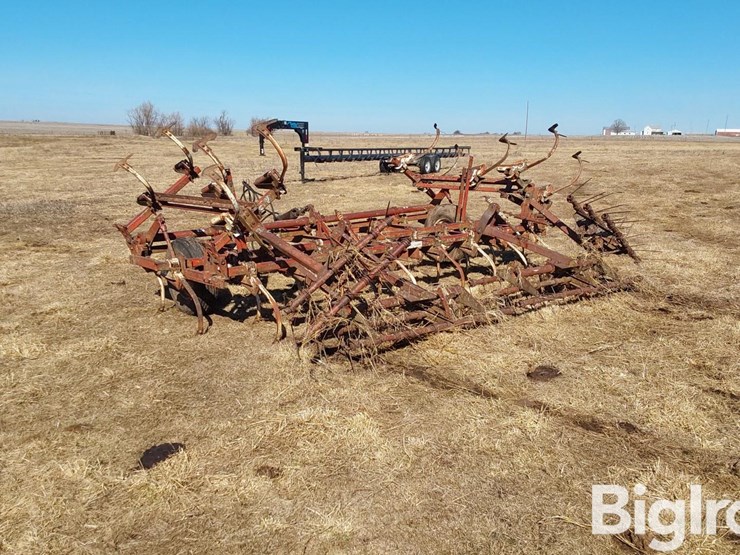 international-45-image-7