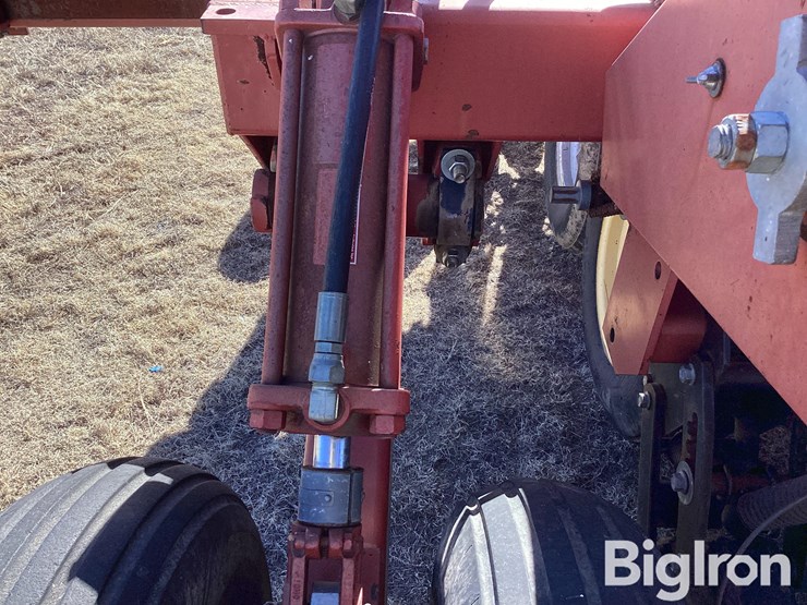 sunflower-9432-40-image-19