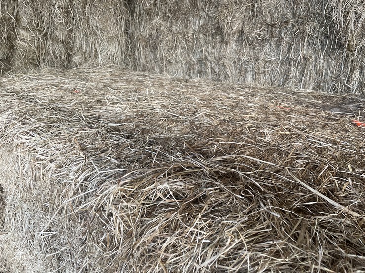 #7414-•-(30)-big-square-bales-of-beef-hay-(rice-lake,-wi)-image-1