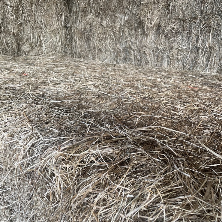 #7414 • (30) Big Square Bales of Beef Hay (Rice Lake, WI)