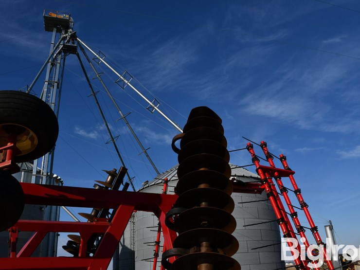 sunflower-1434-33-image-20