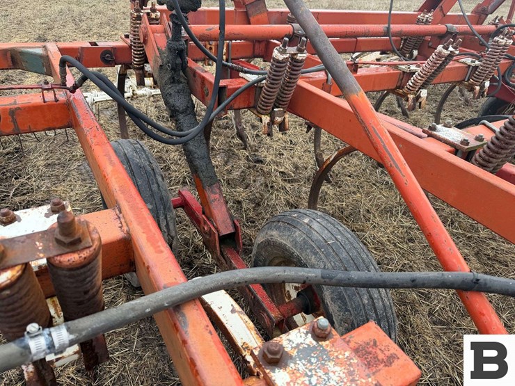 international-55-image-12